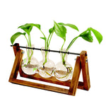 Load image into Gallery viewer, Swing Wooden Stand Hydroponic Plant Container Glass Vase
